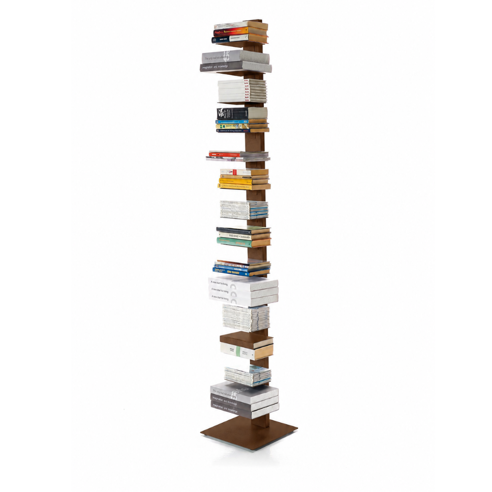 Pisa 202 - Libreria