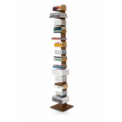 Pisa 202 - Libreria