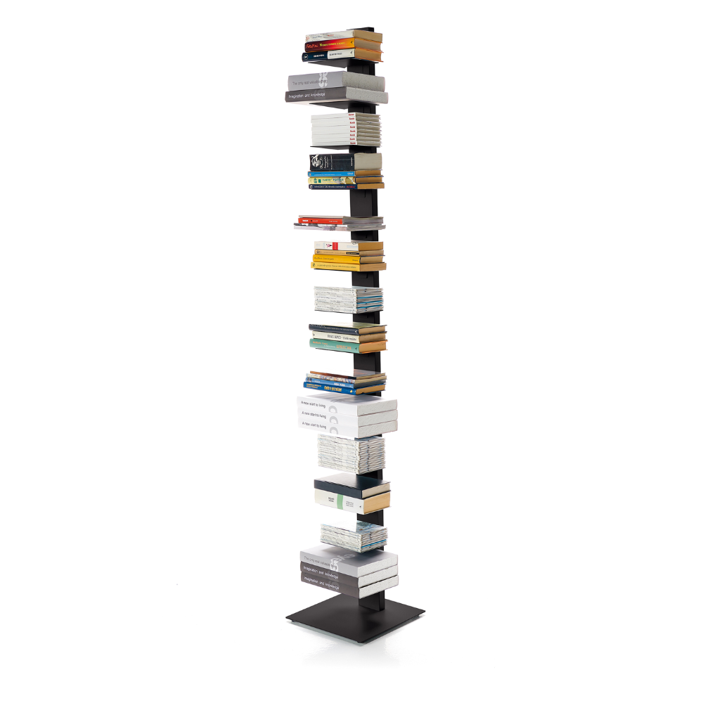 Pisa 202 - Libreria