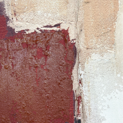 Cervo Due - Quadro